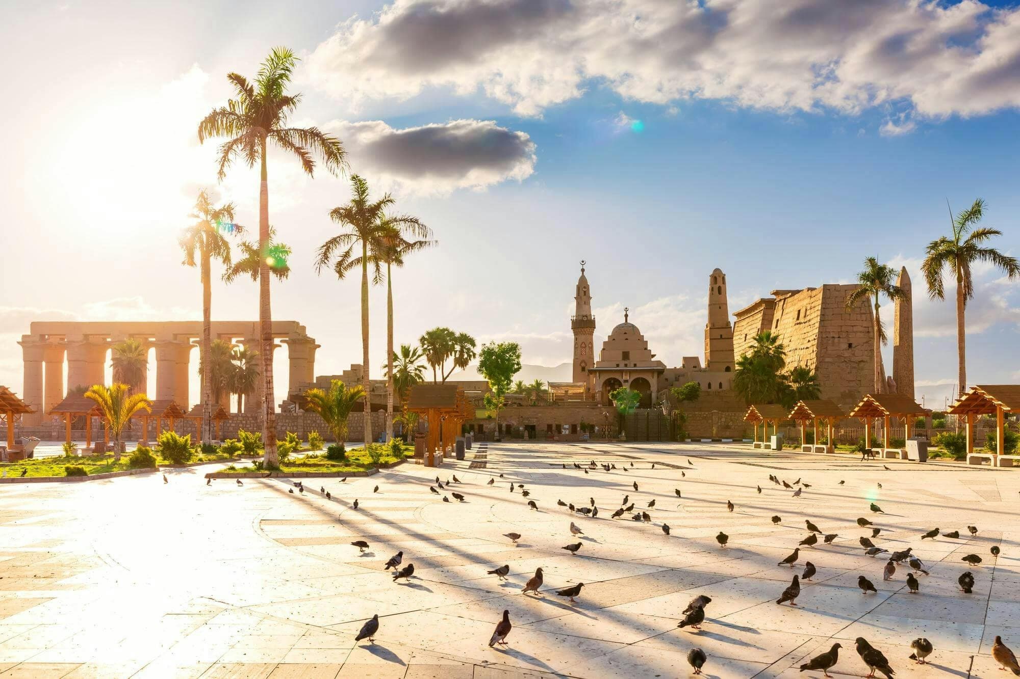 Luxor: Guided Day Tour to East and West Bank + Roundtrip Transfer