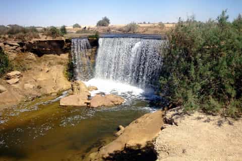 From Cairo: Full-Day Tour to El Fayoum