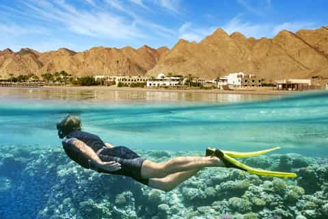 Cairo: Day Tour to the Red Sea with Lunch
