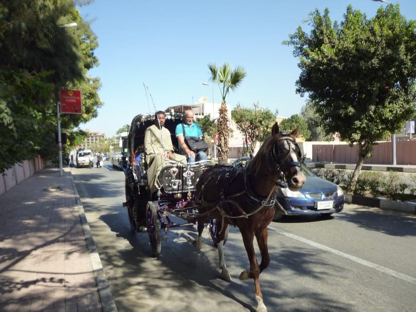 Luxor City Tour by Horse Carriage Visit Local
