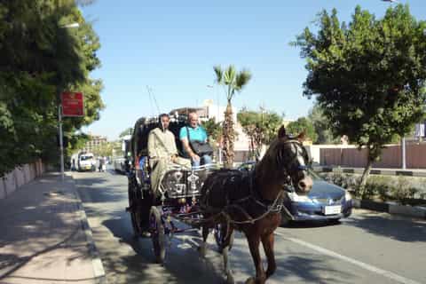 Luxor City Tour by Horse Carriage Visit Local
