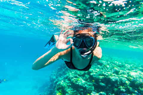 Sharm El Sheikh: Snorkeling at Ras Mohamed & White Island