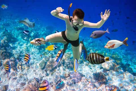 Hurghada: Giftun Island Sea Trip with Snorkeling & Lunch