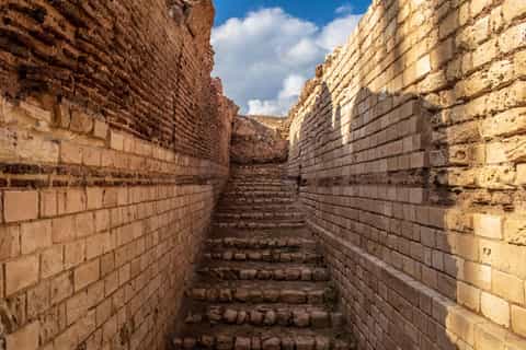 From Alexandria: Highlights of Alexandria Full City Tour