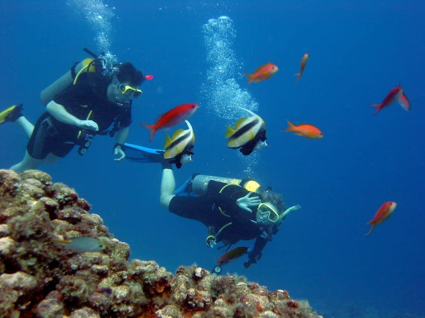 Hurghada Scuba Diving Trip with Pick-up, Lunch