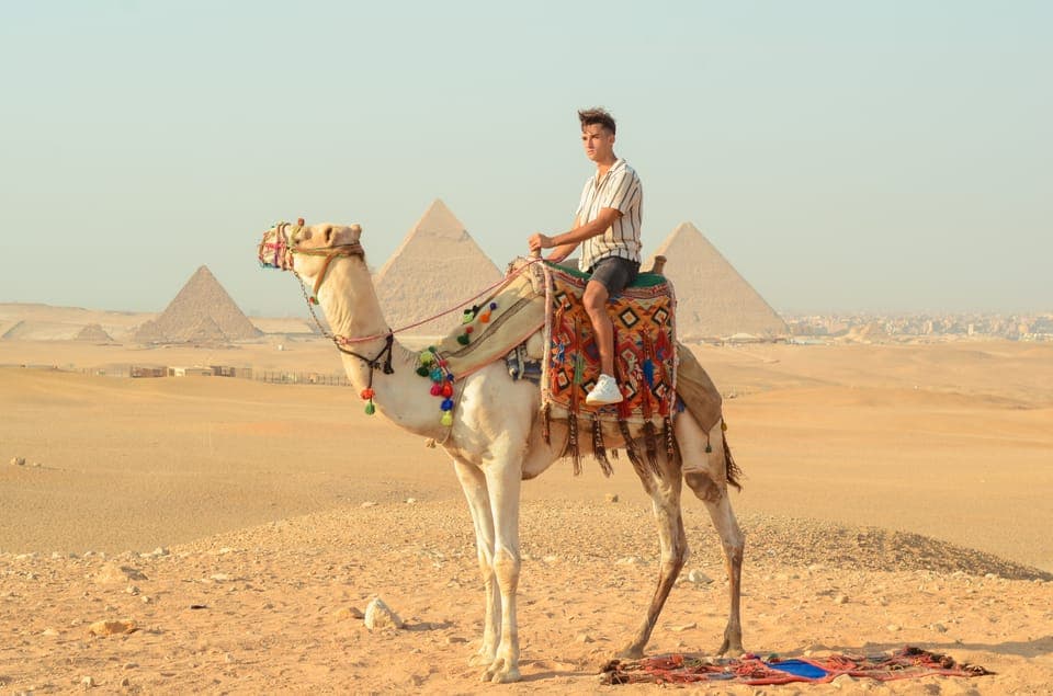 Cairo: Camel Ride Around The Pyramids with Hotel Pickup