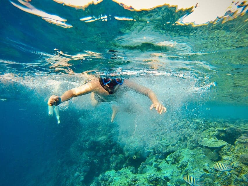 From Cairo: Snorkeling Trip on Yacht with Lunch