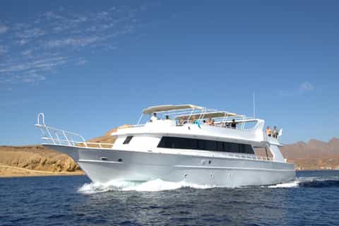 From Sharm: Ras Mohammed Cruise with Island Visit and Lunch