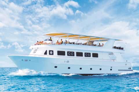 Sharm el-Sheikh: Premium Ras Mohammed & White Island Cruise