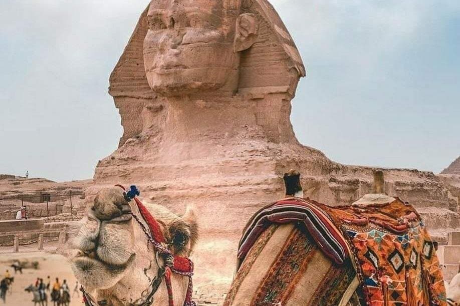 Cairo Layover Tour to Pyramids,Sphinx & Museum