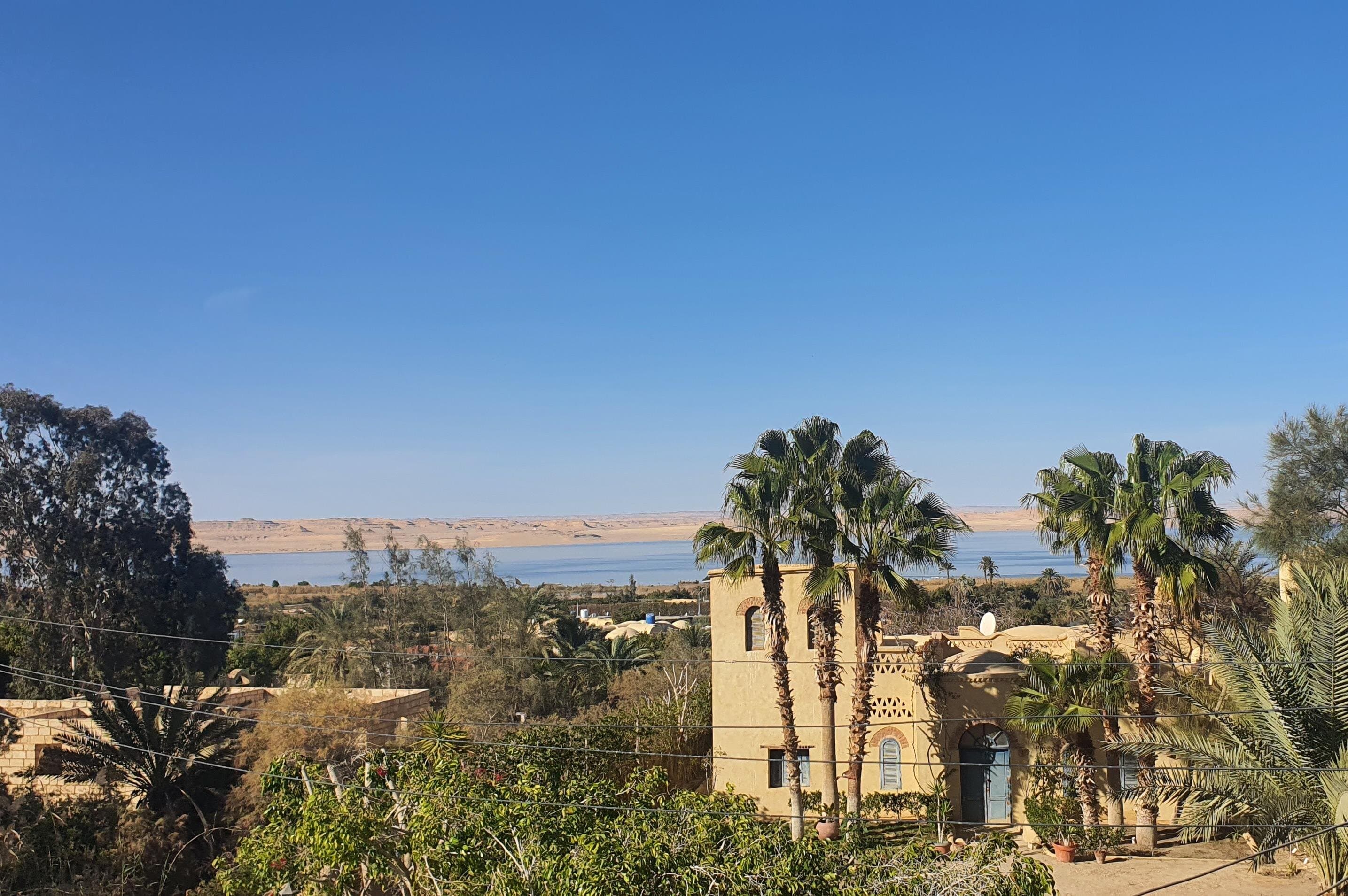 El Fayoum Oasis and Wadi Rayan Waterfall Private Tour from Cairo