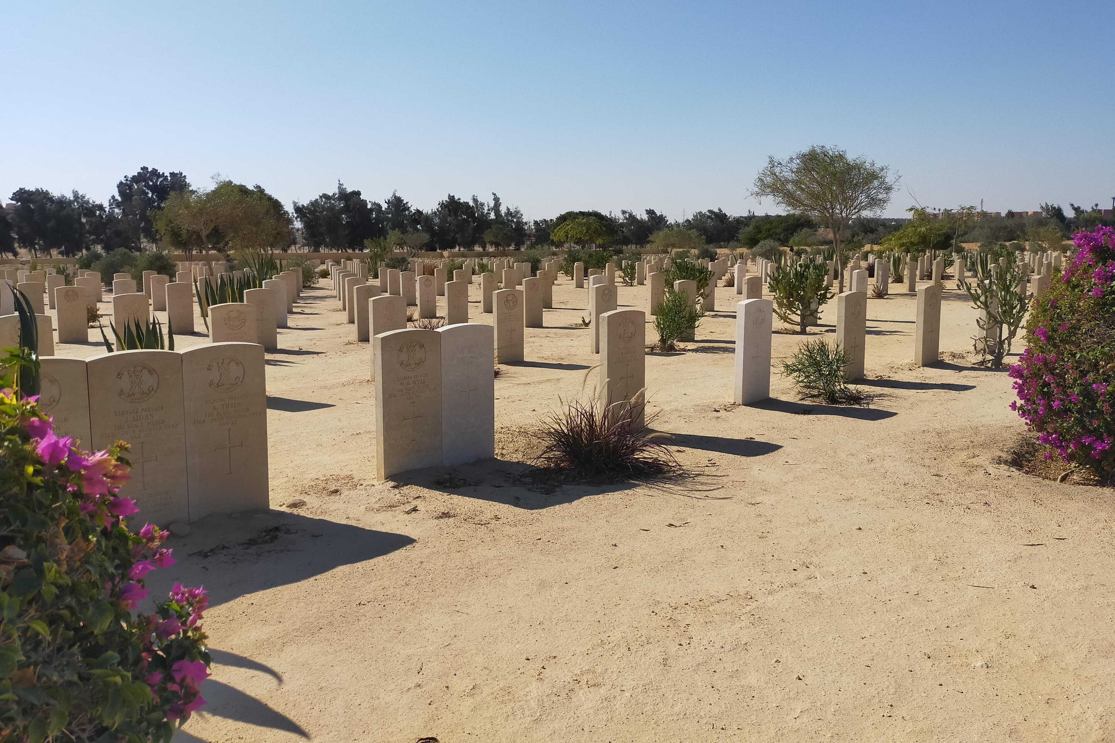 Overnight Tour to AlexandrIa and El Alamein From Cairo