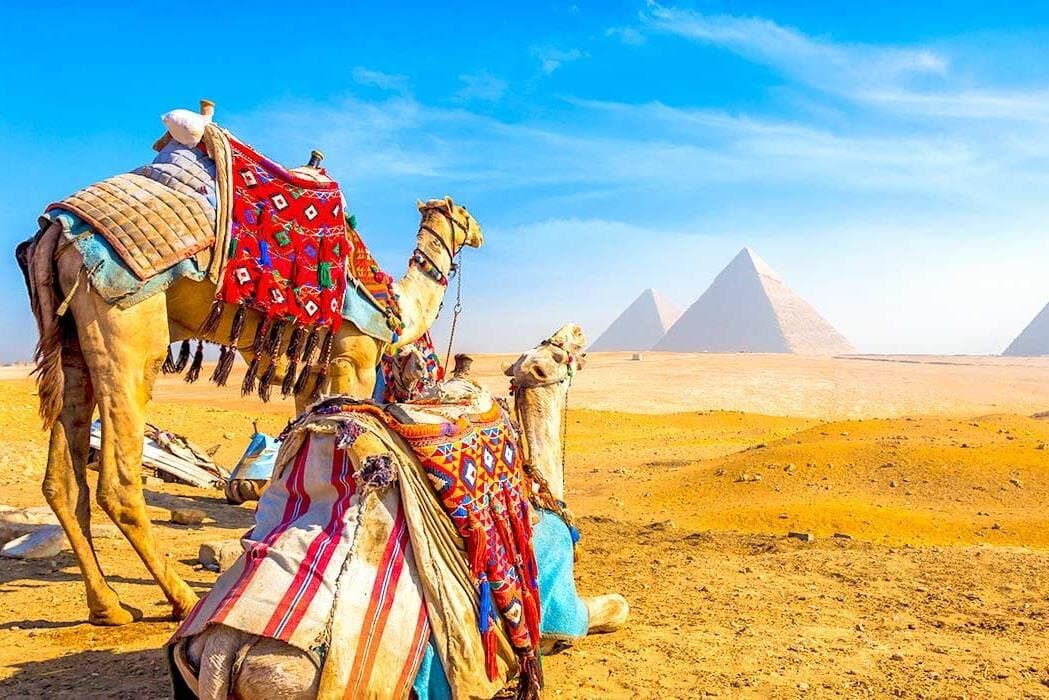 Private Guided Tour of the Pyramids & Grand Egyptian Museum