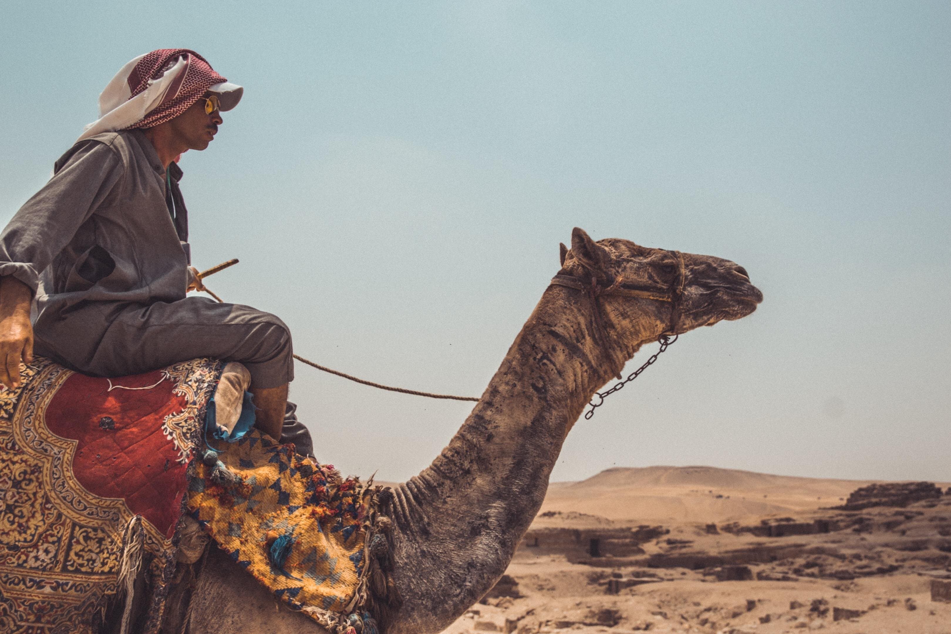 From Cairo: Camel or Horse Ride Tour Around Giza Pyramids