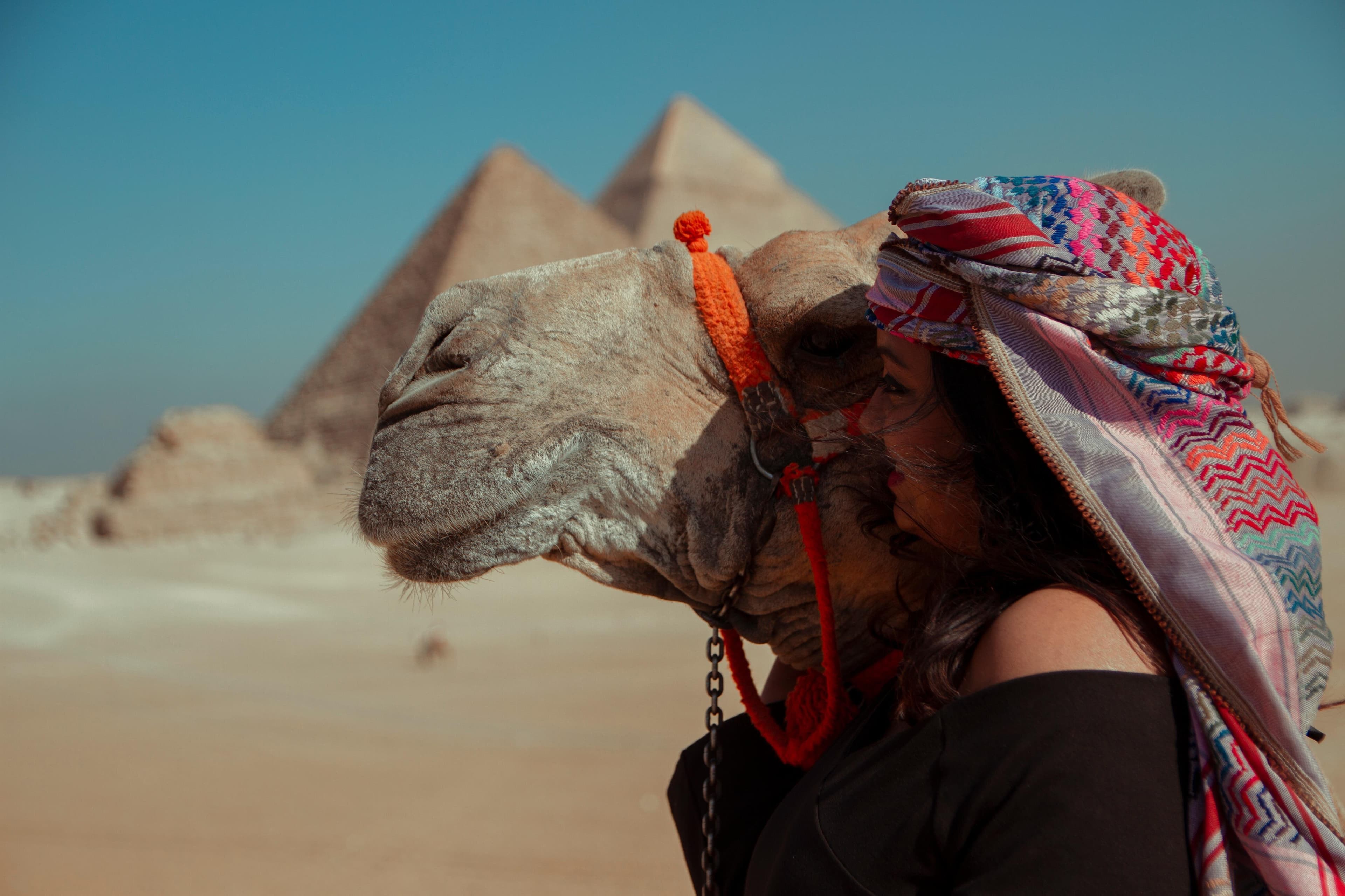 Day Trip To Giza Pyramids Old Cairo Citadel & Bazaar