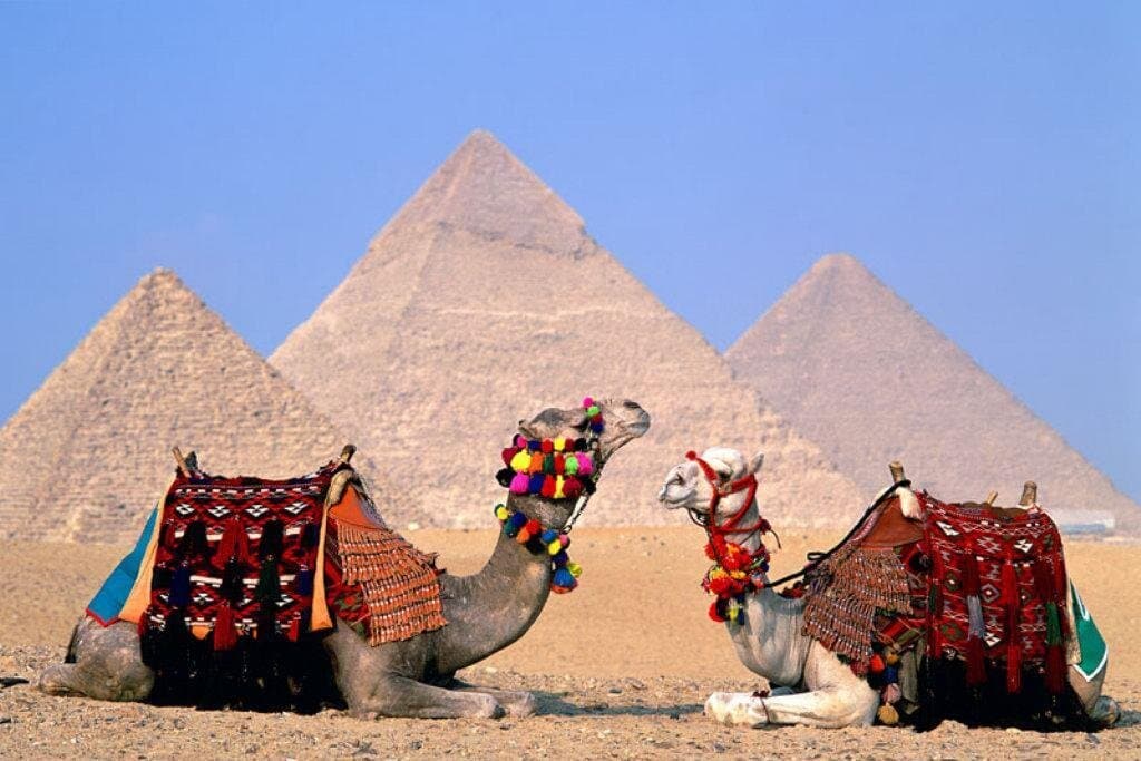 8-Day Best of Egypt — Cairo, Nile Cruise & Abu Simbel