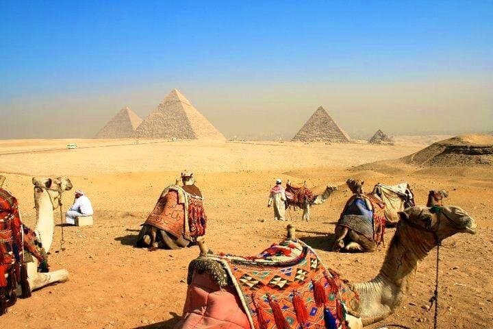 8 Day Cairo Pyramids and Nile cruise and Alexandria All inclusive Private Tour