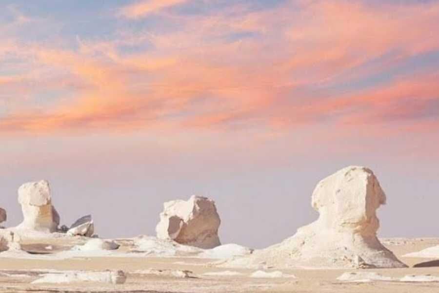 2 Days Private Tour to White Desert and Bahariya Oasis from Cairo