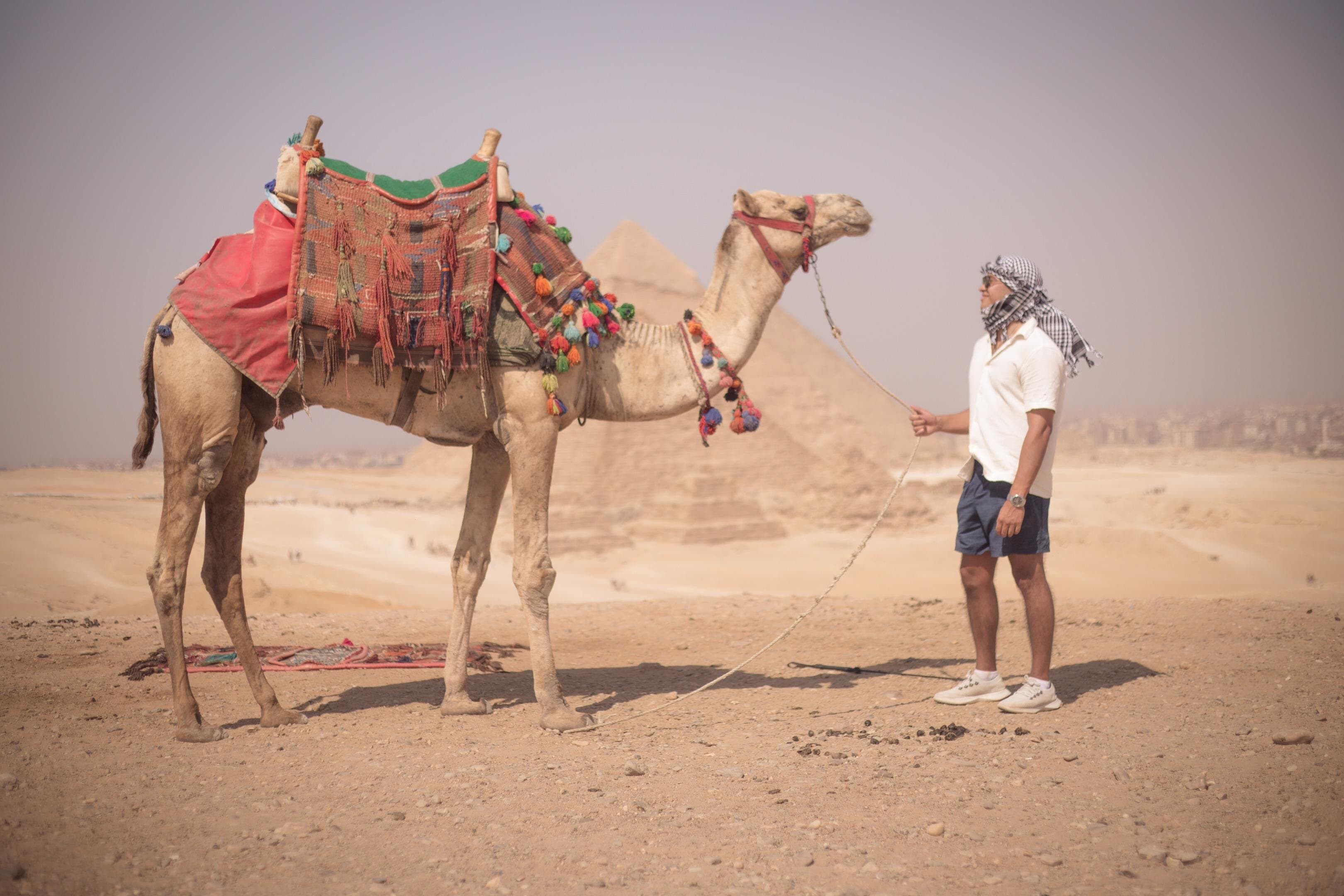Guided Tour to Giza Pyramids, Saqqara, Dahshur and Memphis