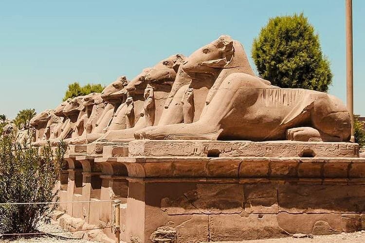 Private Overnight Trip to Luxor from Cairo including round Flight