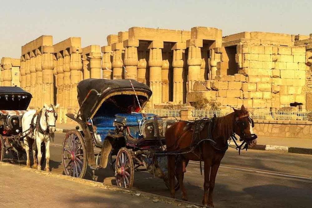 Private Luxor Horse-Carriage Tour with Local Guide