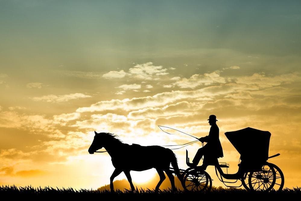 Aswan City Private Tour by Horse Carriage