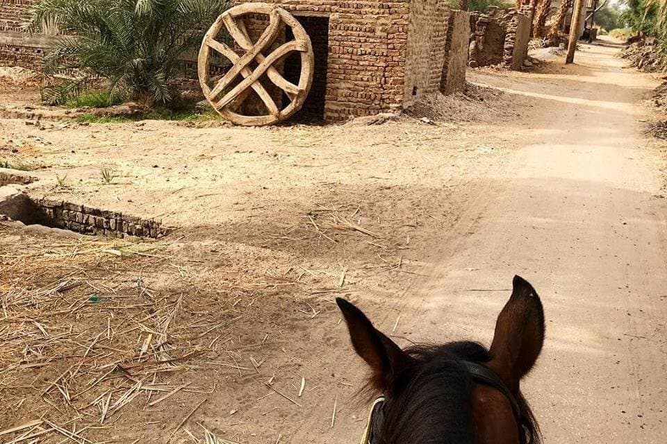 Rural Horse Riding Adventure