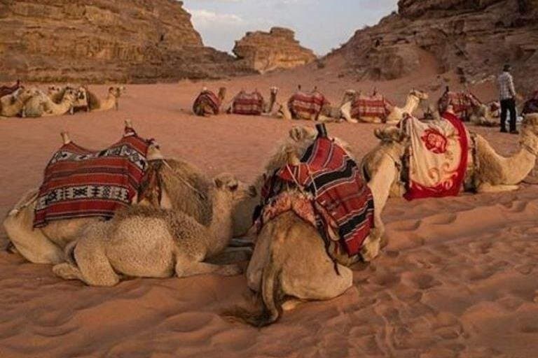 Hurghada Super Safari