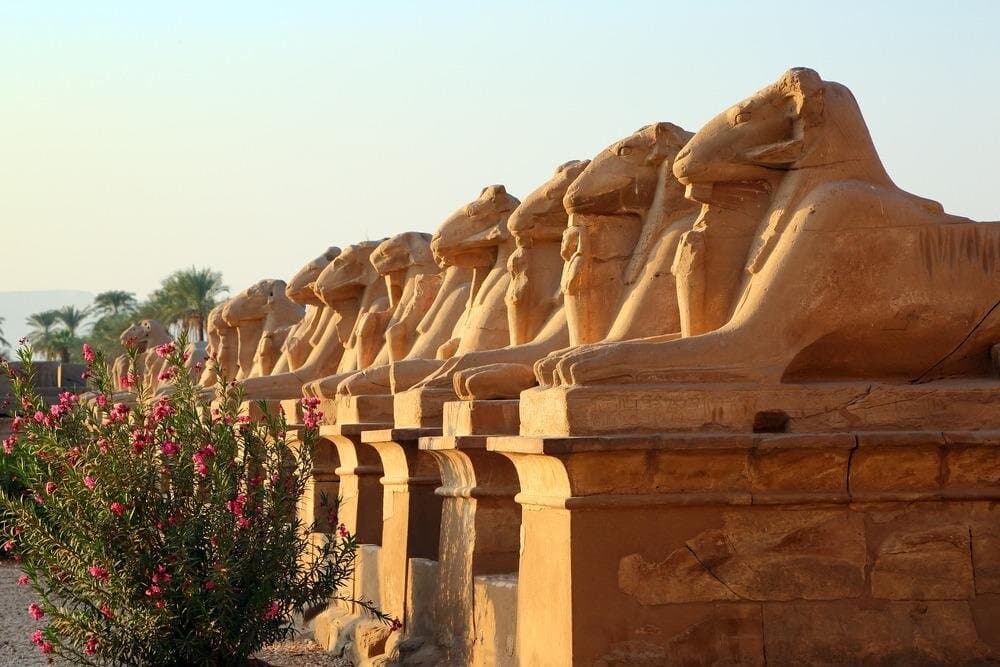 Luxor Private Sightseeing Tour: Valley of the Kings, Karnak &More