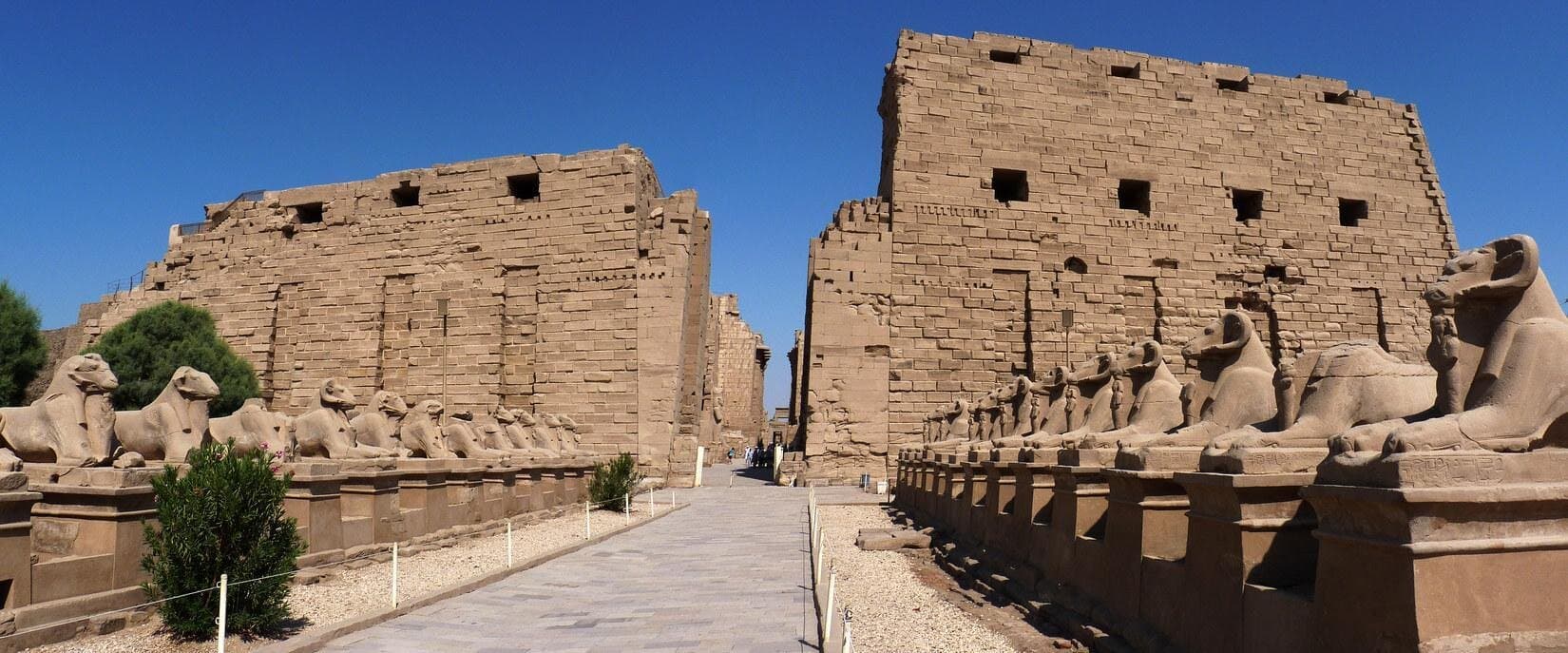 Layover Tour from Luxor airport To Luxor attractions with Lunch