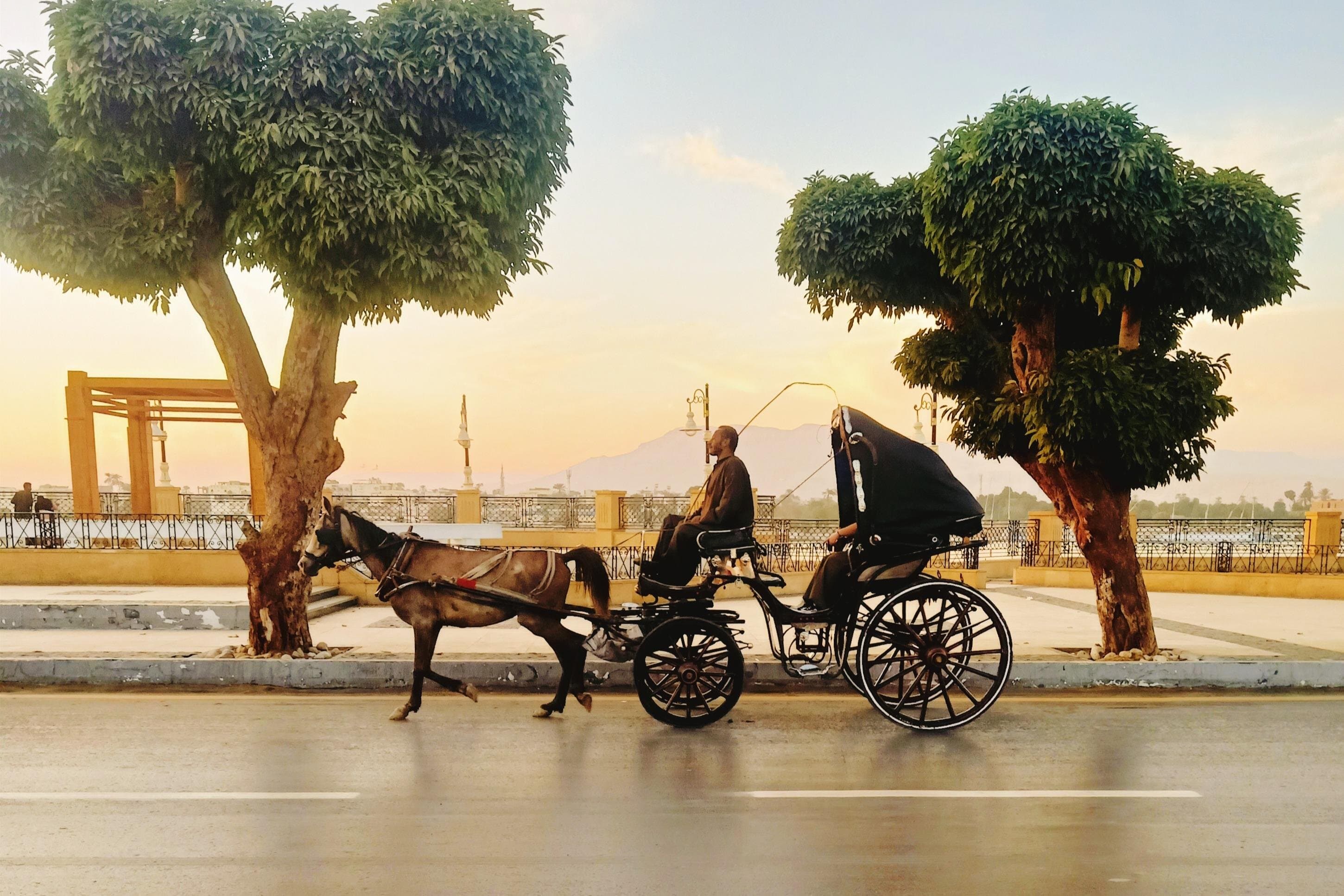 Luxor City Horse Carriage Tour: Dine and Discover