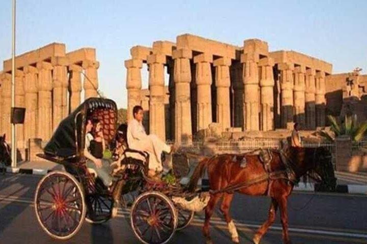 Luxor Foodie Walk Tour A Journey Through Flavor with Local Guide