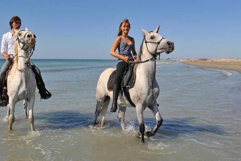 Adventure Safari By Horse In Sharm El Sheikh
