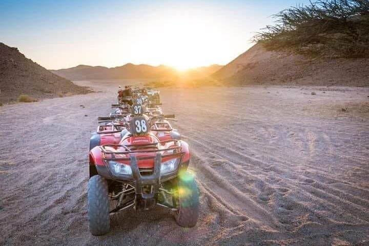 From Marsa Alam: All-in-One Super Desert Safari
