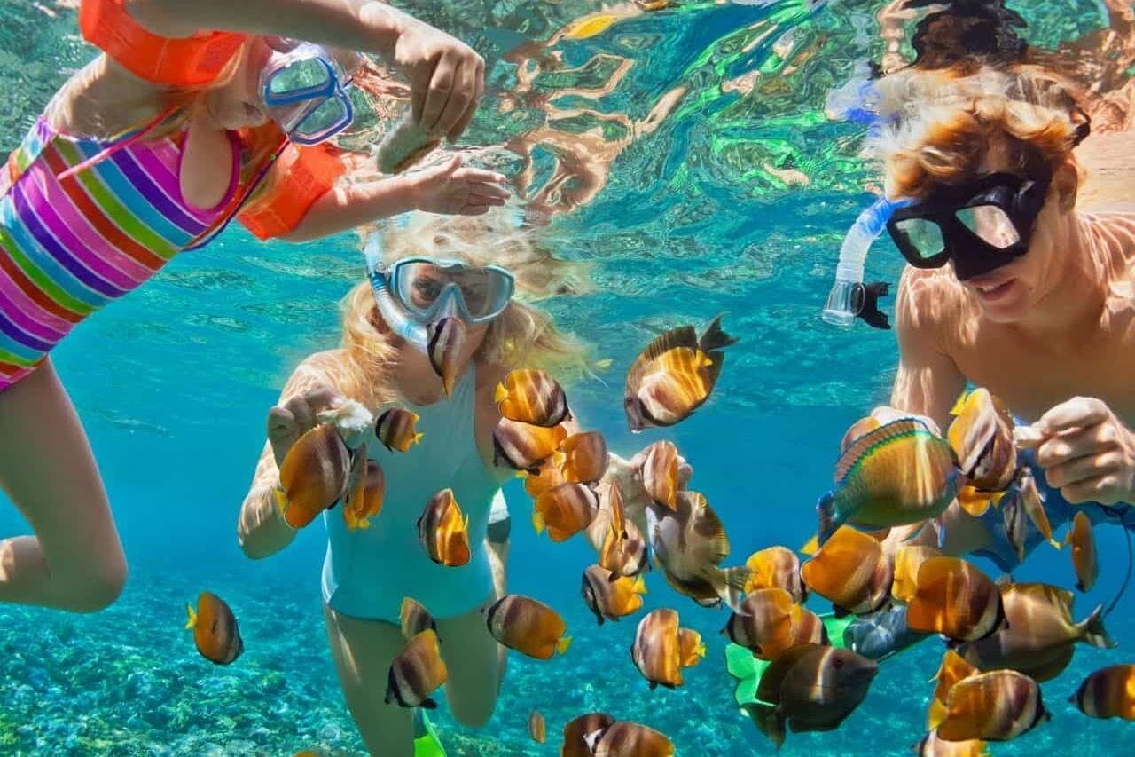 Unveiling the Beauty of Tiran Island from Sharm El Sheikh