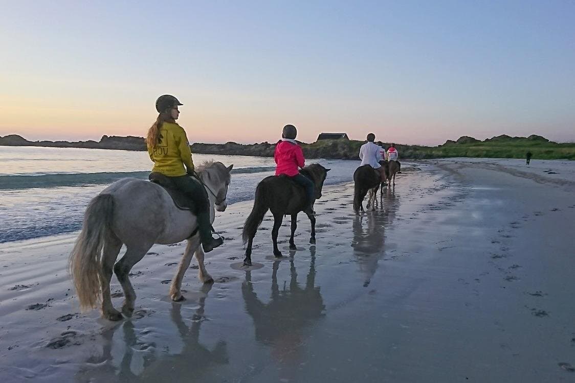Marsa Alam: Sea and Desert Horse Riding Tour