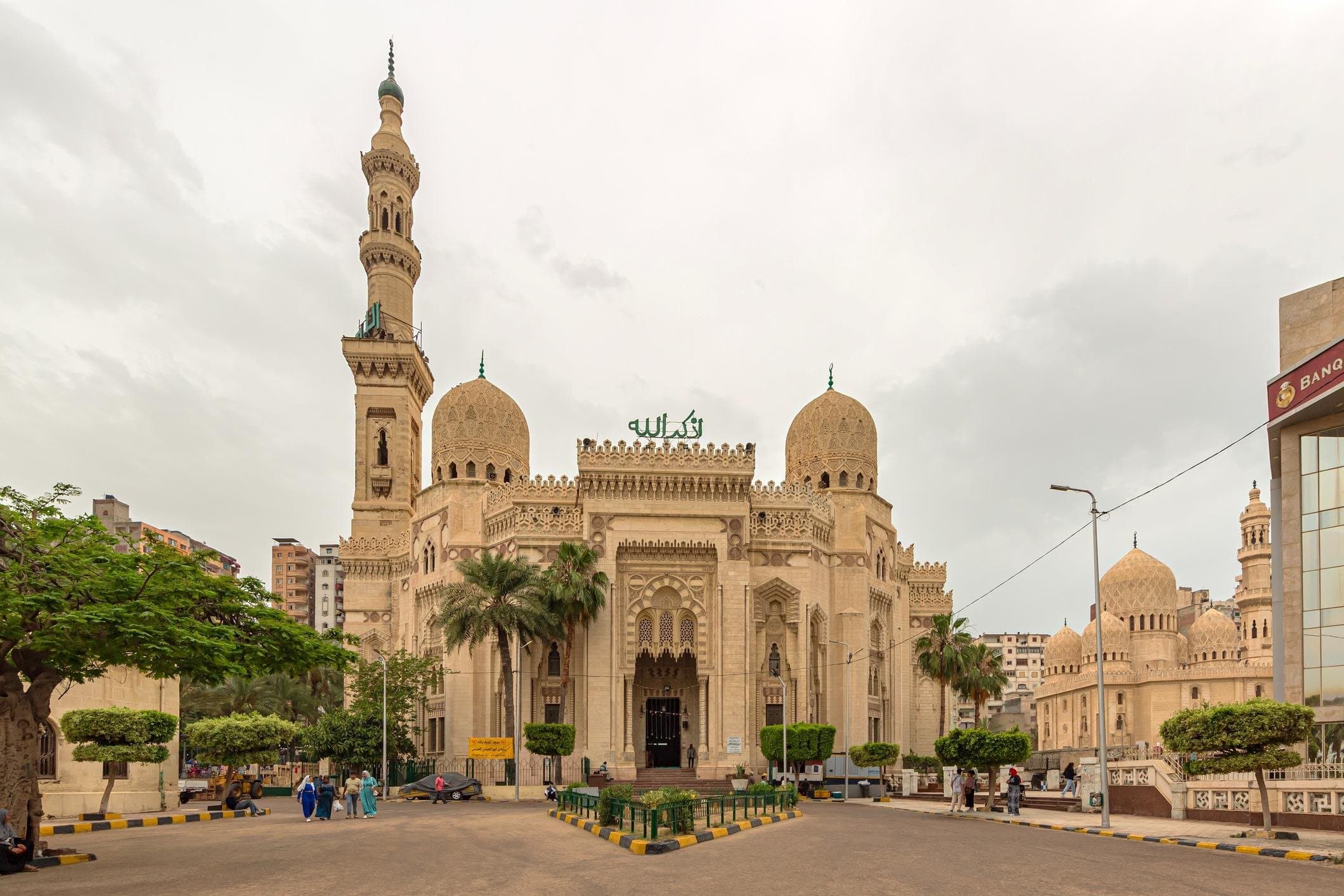 Full Day Private Shore Tour in Alexandria from Alexandria Port