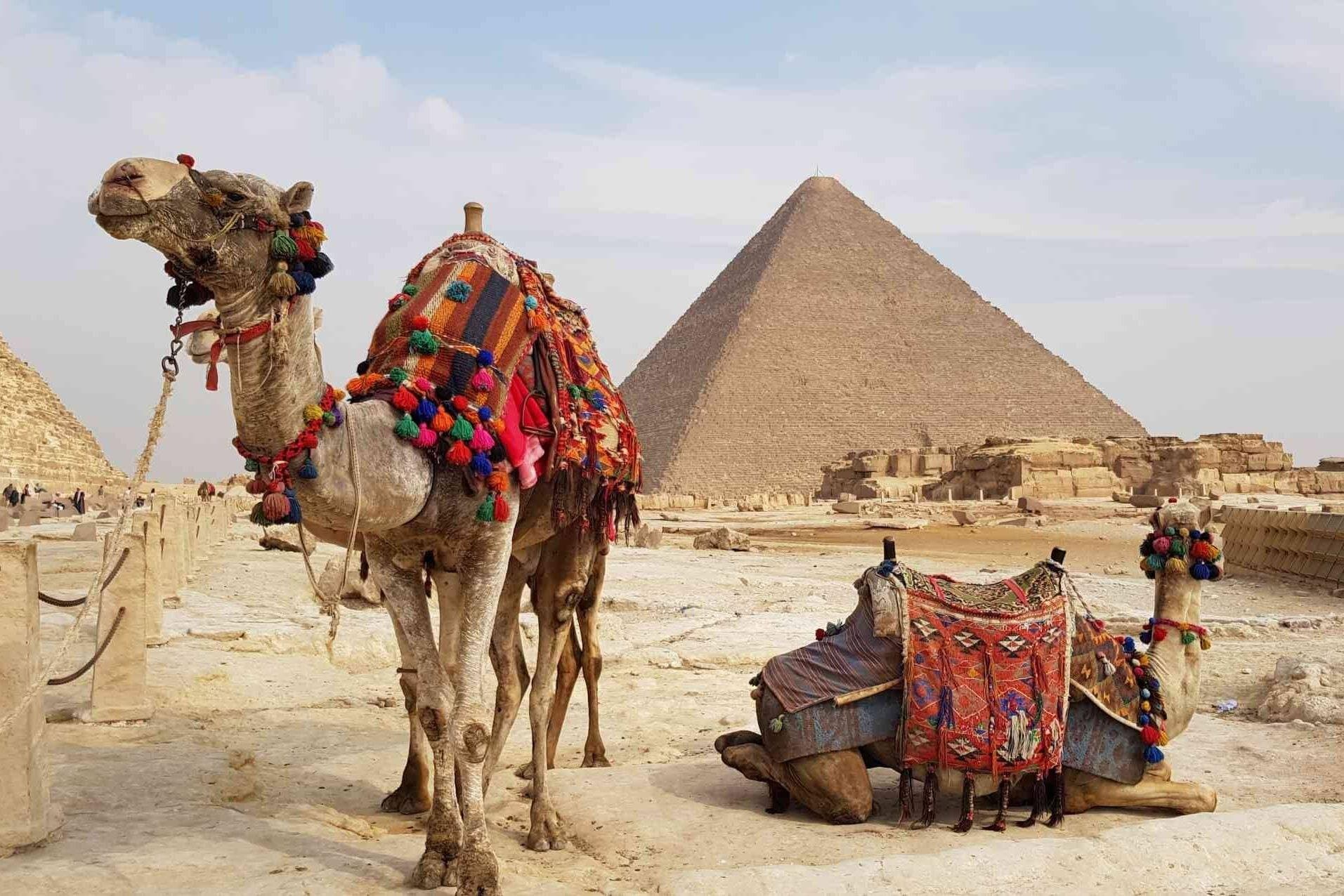 Day Tour in Sakkara and Memphis from Alexandria Port