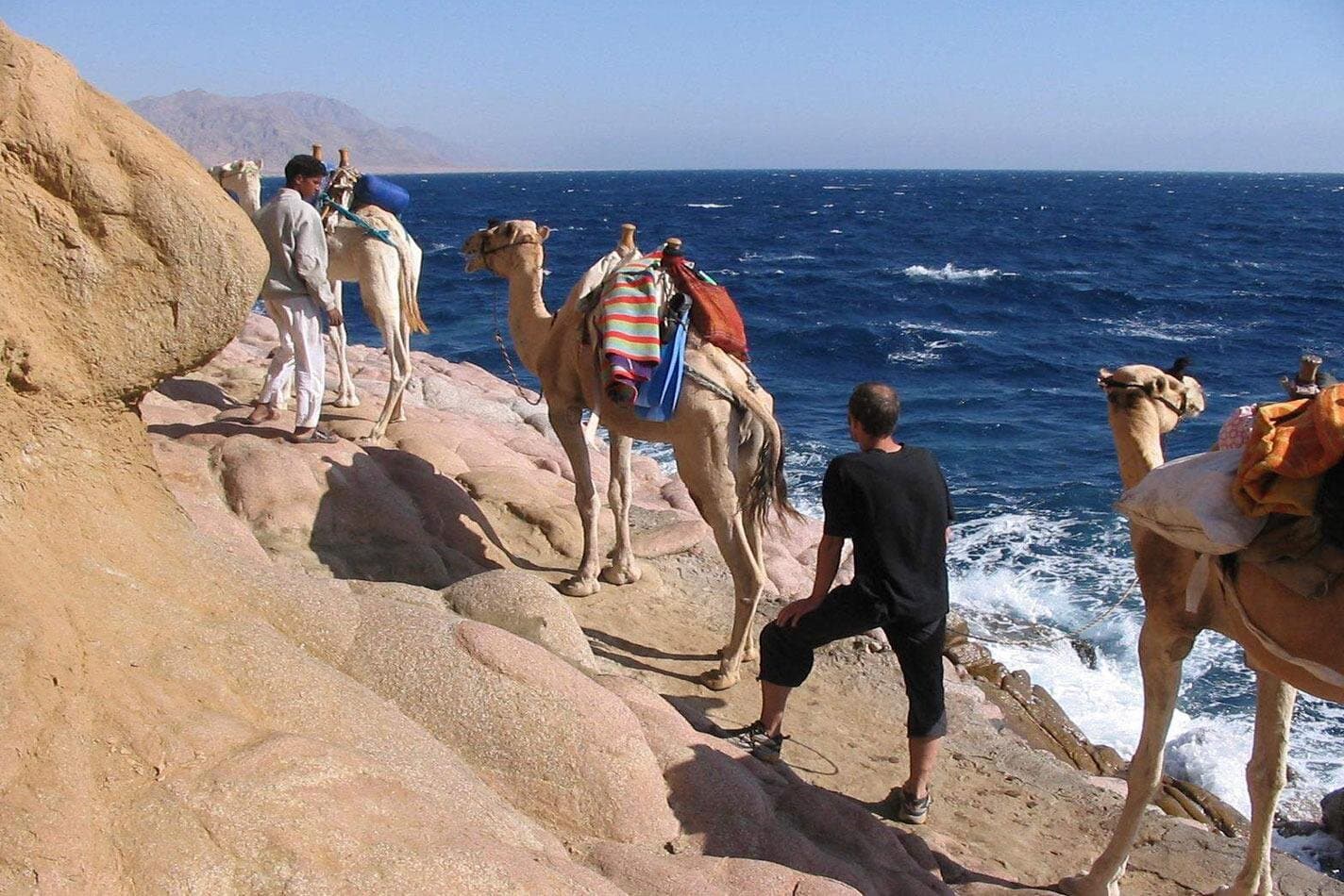 Camel Trek Desert and Beach Experience Private Tour in Dahab
