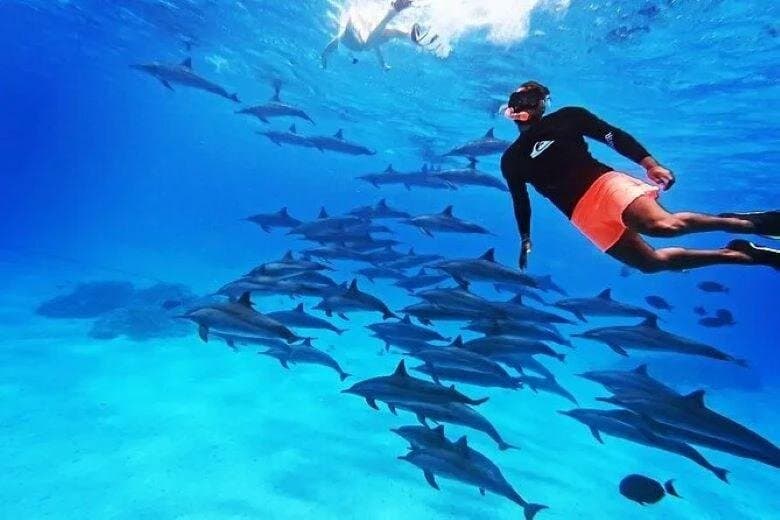 Private Speedboat to Dolphin House with Turkish Hammam - Hurghada