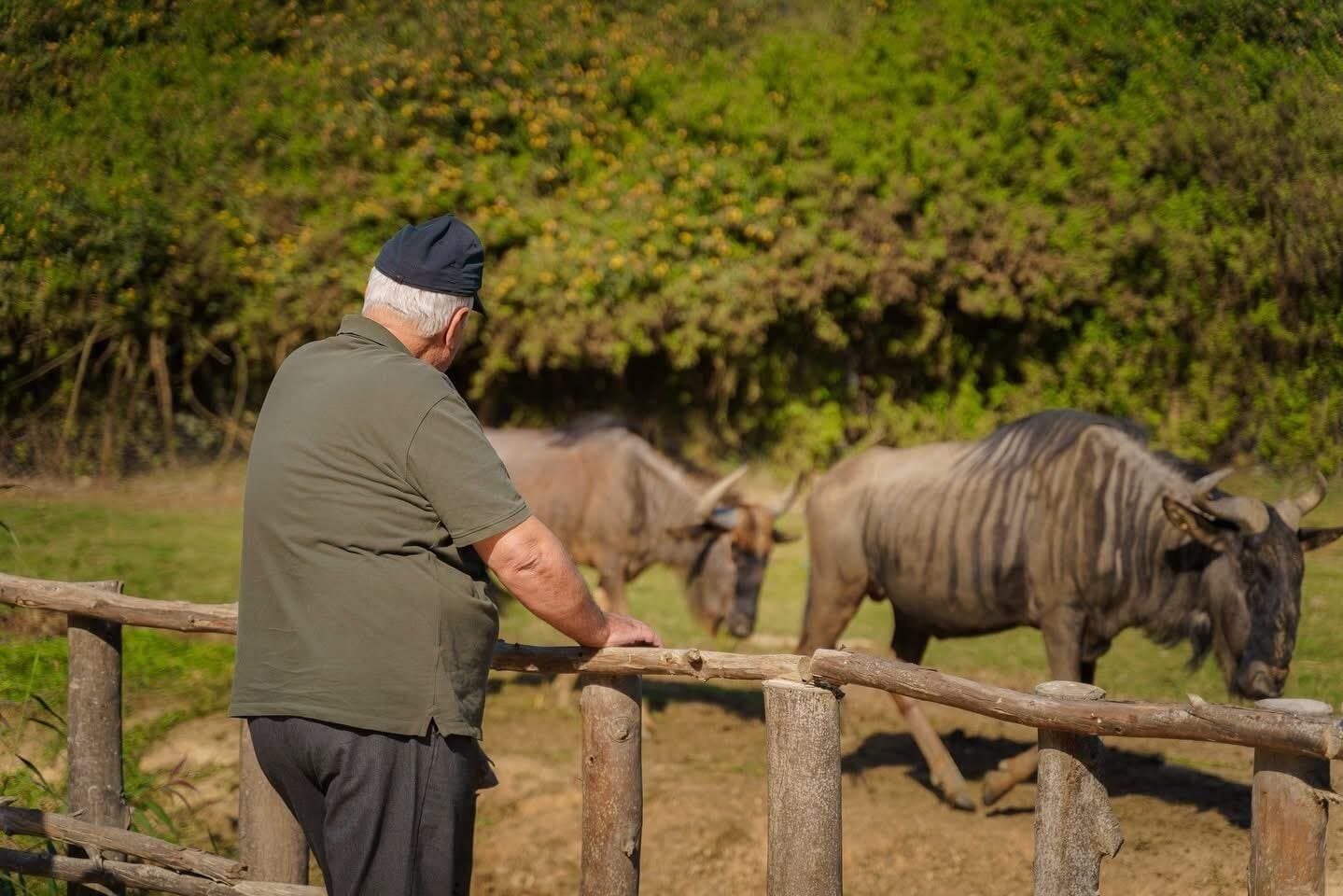 Explore Africa Park Safari Family Friendly Nature Tour