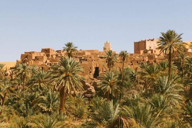 Allinclusive 5 Days Private Tour To Siwa and Bahariya Oasis