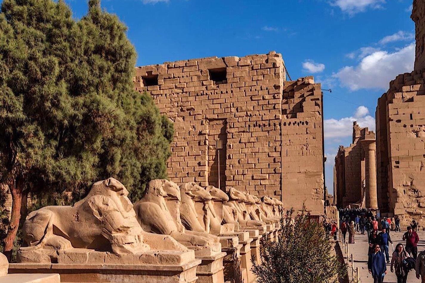 Private Day Tour from Cairo to Luxor