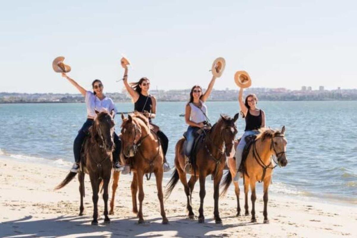 2Hours Horse Ride at Nabq Bay Beach and Transfers–Sharm El Sheikh