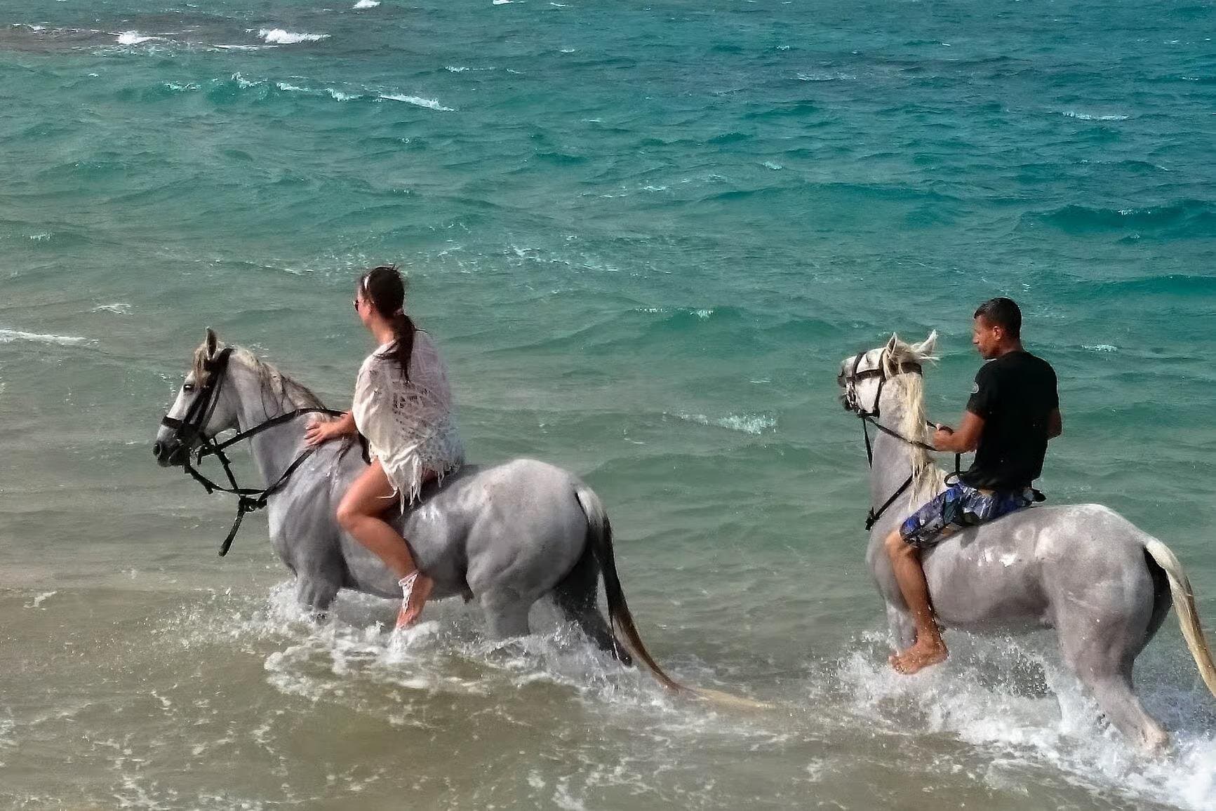 Hurghada: Sea and Desert Tour by Horse