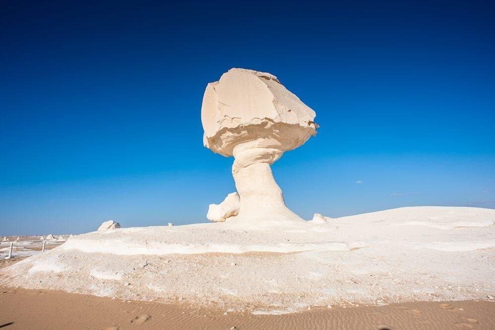 Safari at the Black and White Desert