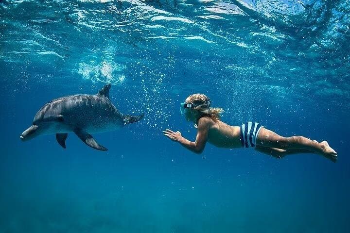 Dolphin House Snorkeling Day Cruise with Lunch from Hurghada