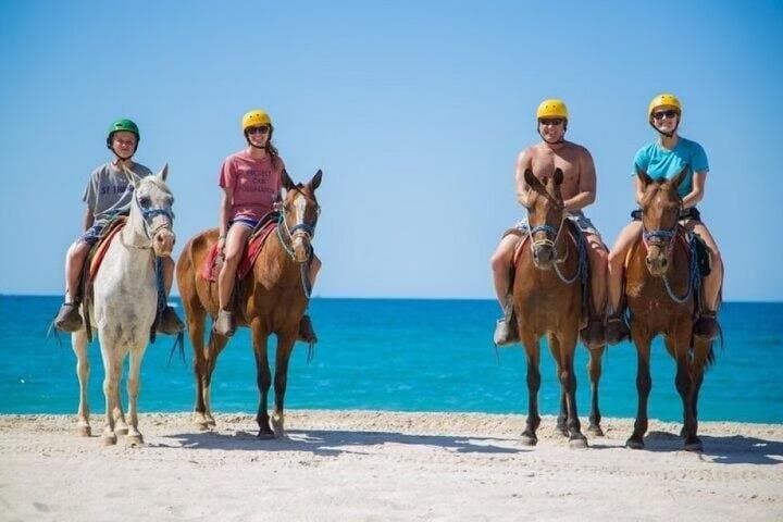 3 Hour Horse Swimming Adventure in Hurghada