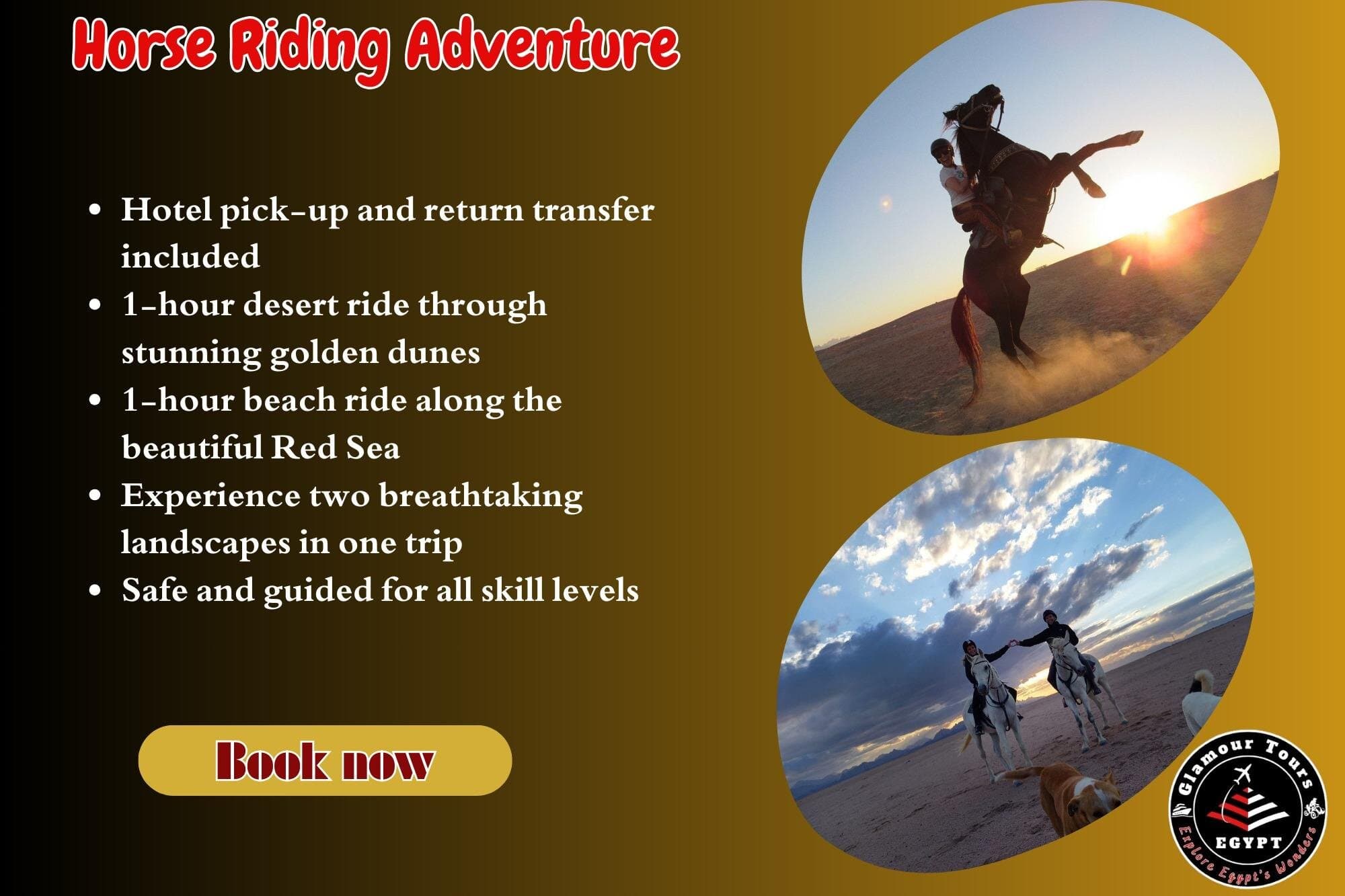 2-Hour Horse Riding in the Desert and by the Sea