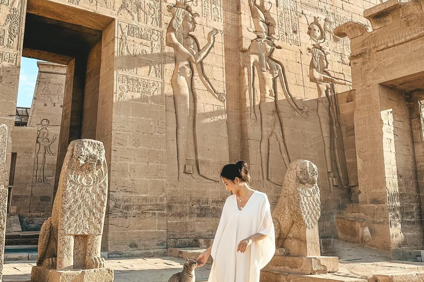 Private Day Trip from Luxor to Aswan Highlights